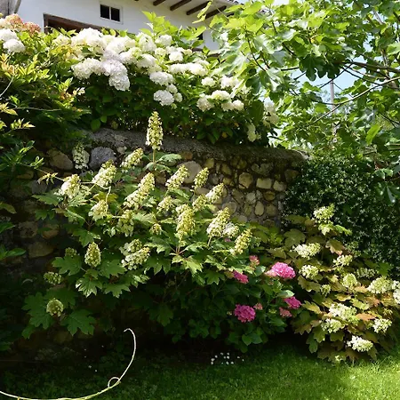 Rural Arpa De Hierba Hotel Llanes