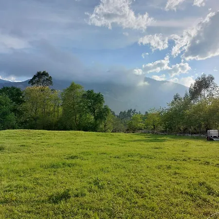 Rural Arpa De Hierba Llanes