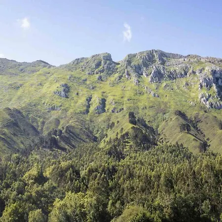 Rural Arpa De Hierba 3*