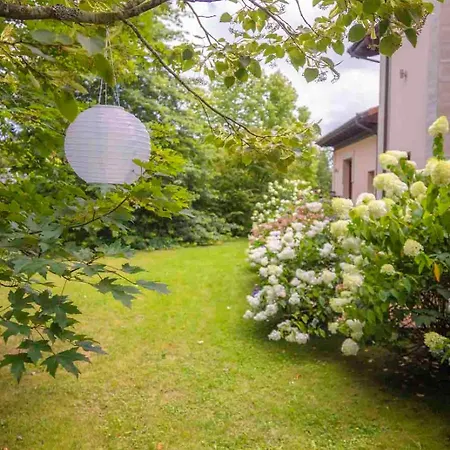 Rural Arpa De Hierba Llanes