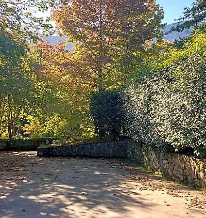 Rural Arpa De Hierba