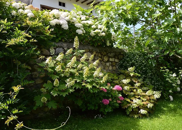 Rural Arpa De Hierba Hotel Llanes