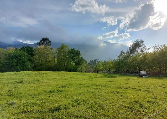 Rural Arpa De Hierba Llanes