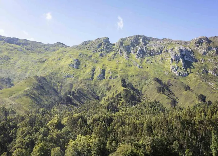 Rural Arpa De Hierba 3*