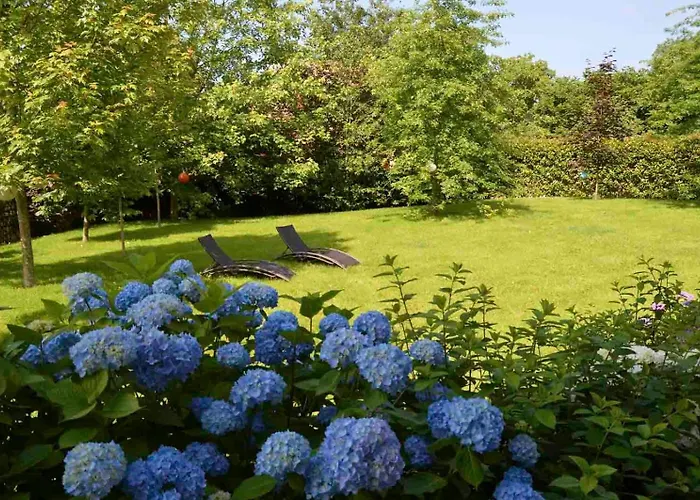 Rural Arpa De Hierba Hotel 3*