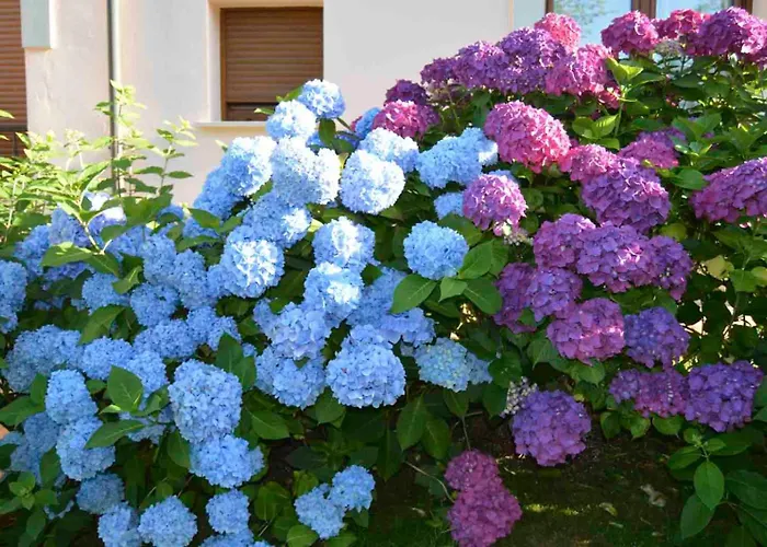 Rural Arpa De Hierba 3* Llanes