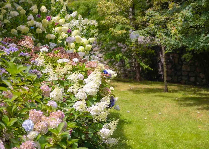 Rural Arpa De Hierba Hotel 3*