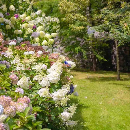 Rural Arpa De Hierba Hotel 3*